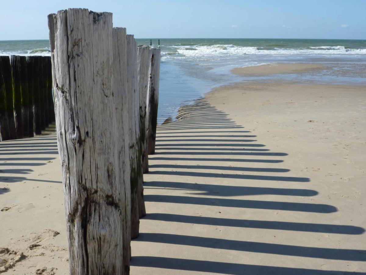 Vakantiehuis Domburg Do08 Met Sauna! Exteriér fotografie